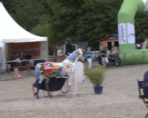 Reitturnier Großenwiehe 2024