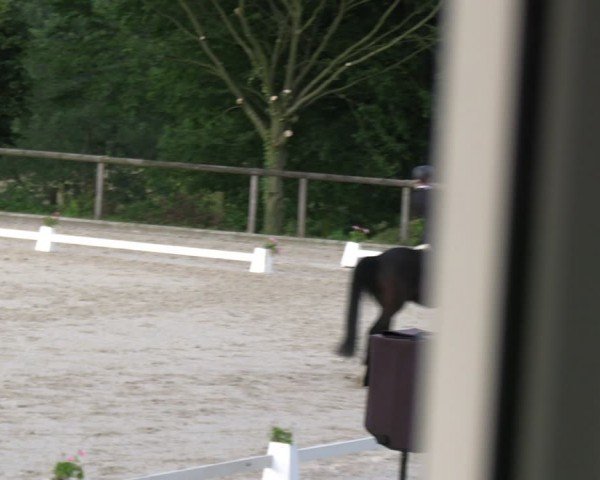 Reitturnier Erkrath - Uhlenhof 2024