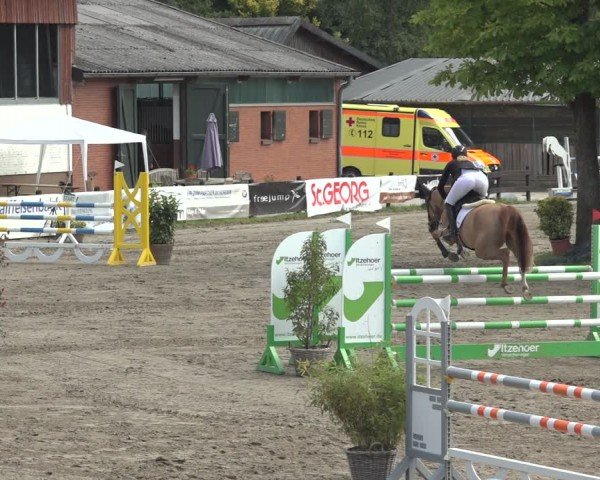 Reitturnier Breitenburg 2024