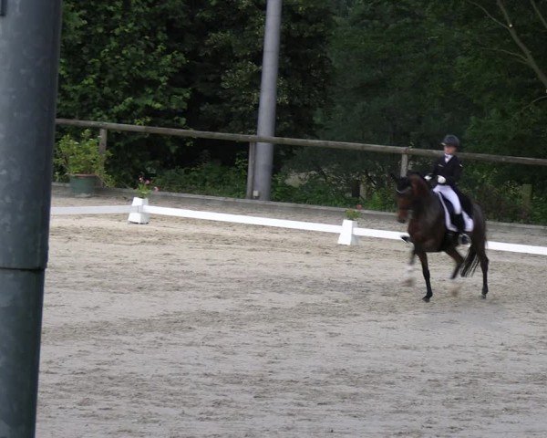 Reitturnier Erkrath - Uhlenhof 2024