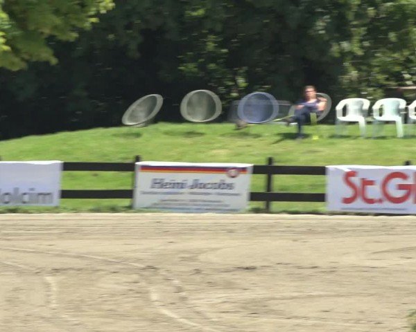 Reitturnier Breitenburg 2024
