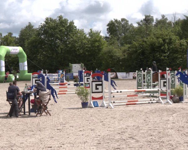 Reitturnier Großenwiehe 2024