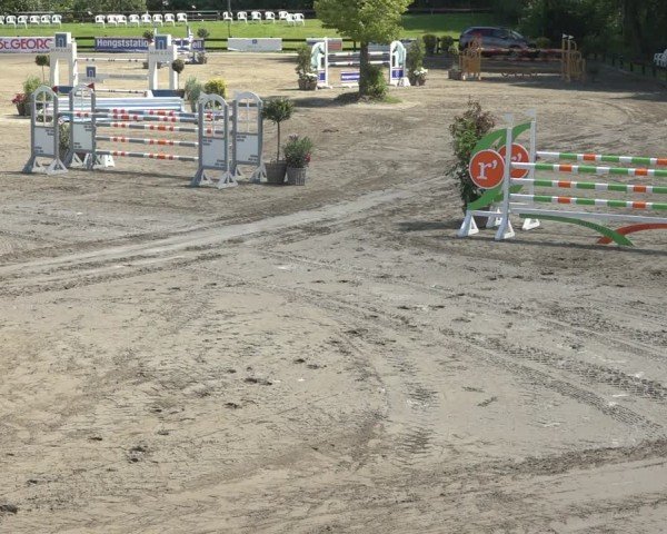 Reitturnier Breitenburg 2024