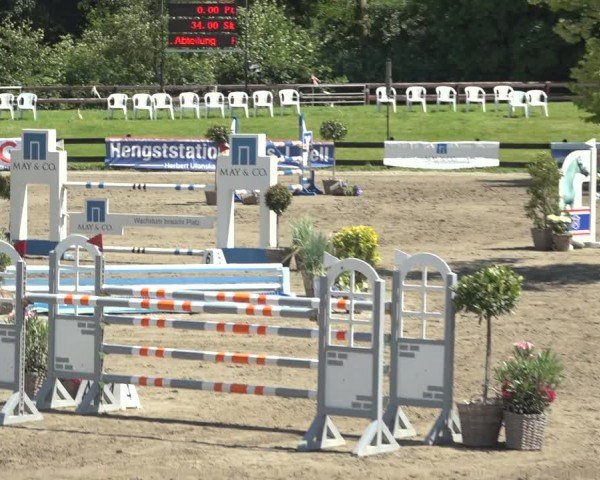 Reitturnier Breitenburg 2024