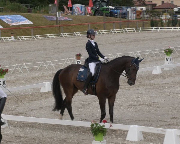 Reitturnier Holschdubrau 2024