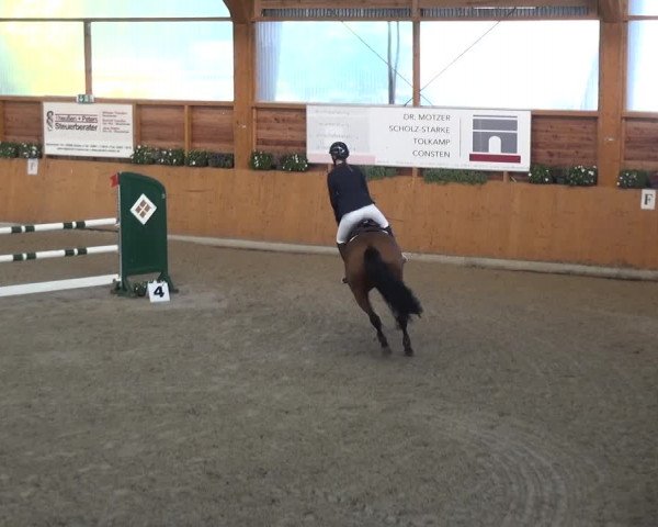 Springturnier Xanten - Reitanlage Miss 2021
