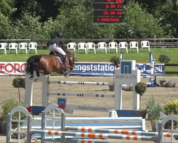 Reitturnier Breitenburg 2024
