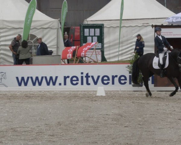 Reitturnier Holschdubrau 2024