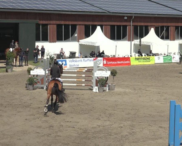 Reitturnier Breitenburg 2024