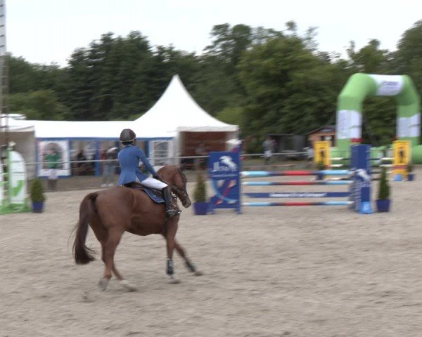 Reitturnier Großenwiehe 2024