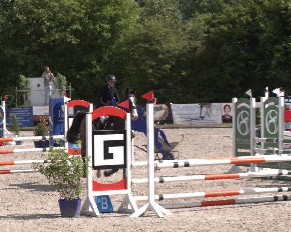 Reitturnier Großenwiehe 2024