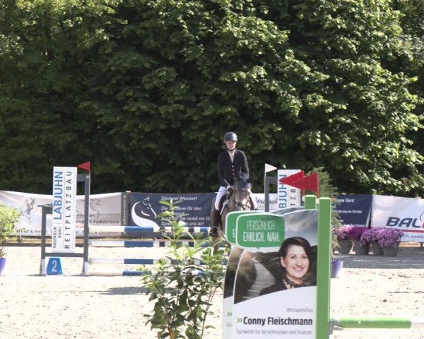 Reitturnier Großenwiehe 2024