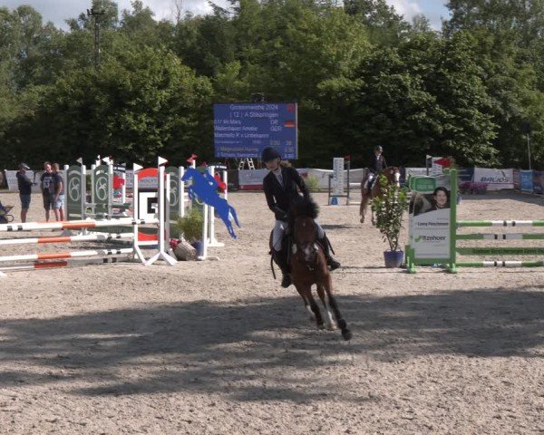 Reitturnier Großenwiehe 2024