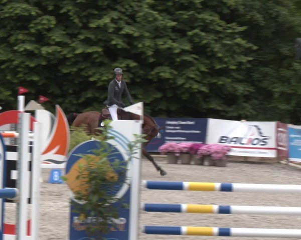 Reitturnier Großenwiehe 2024