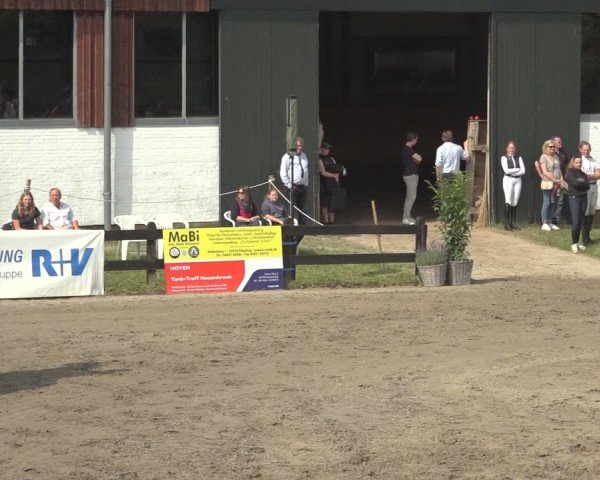 Reitturnier Breitenburg 2024