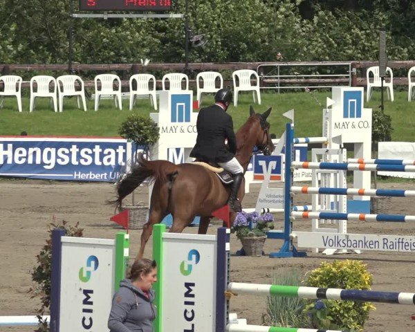 Reitturnier Breitenburg 2024