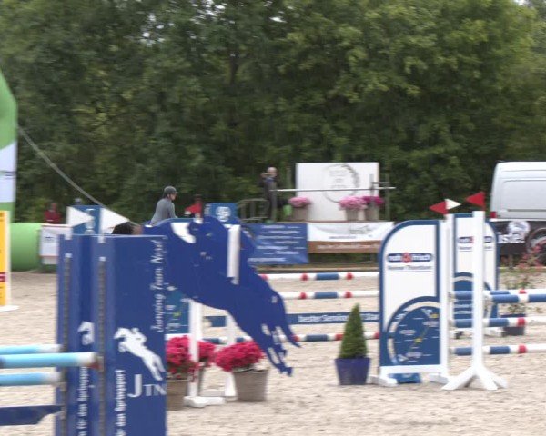 Reitturnier Großenwiehe 2024