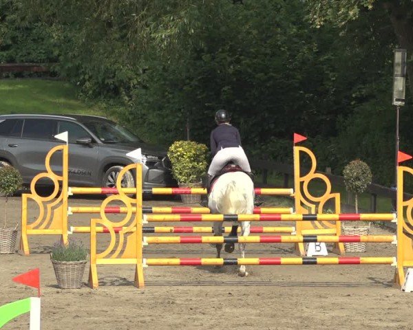 Reitturnier Breitenburg 2024