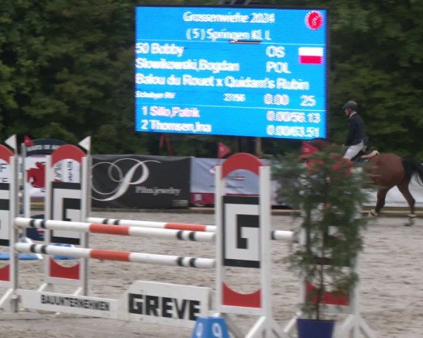 Reitturnier Großenwiehe 2024