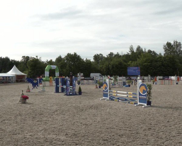 Reitturnier Großenwiehe 2024