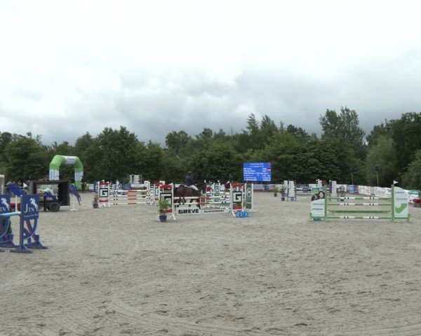Reitturnier Großenwiehe 2024