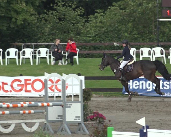 Reitturnier Breitenburg 2024