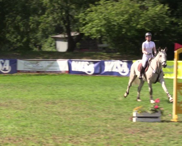 Reitturnier Nienburg 2024