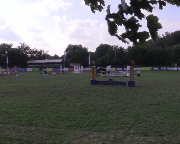 Reitturnier Nienburg 2024