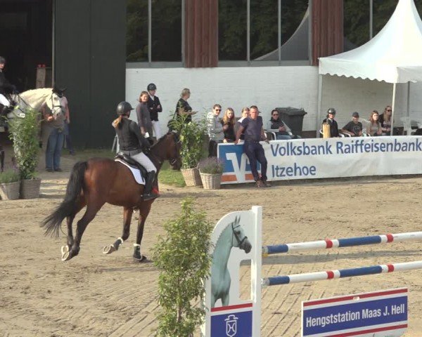 Reitturnier Breitenburg 2024