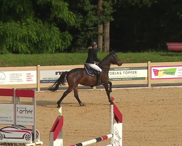 Reitturnier Tiefenhof/Opf. 2024
