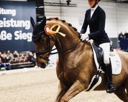 dressage horse Sissi Ge (Westphalian, 2015, from Serafino 32)