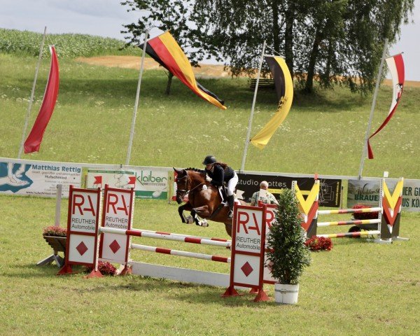 jumper Luz 10 (Pura Raza Espanola (PRE), 2016, from Joyero XXIV)