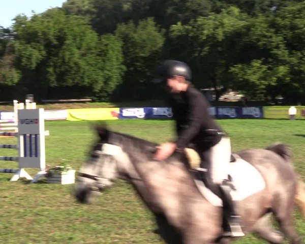 Reitturnier Nienburg 2024