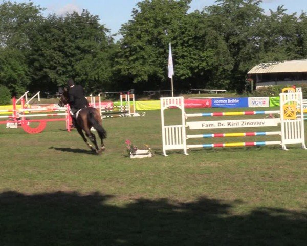 Reitturnier Nienburg 2024