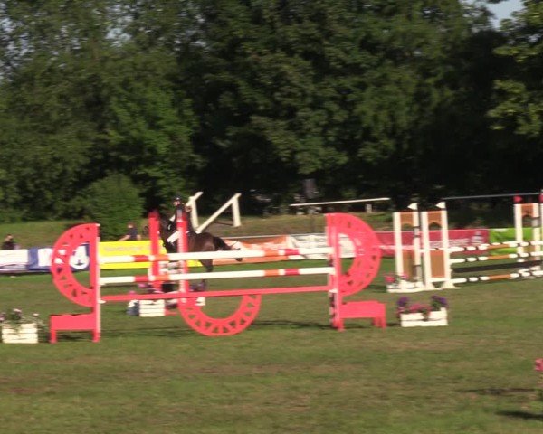 Reitturnier Nienburg 2024