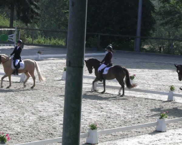 Reitturnier Erkrath - Uhlenhof 2024