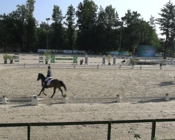 Reitturnier Erkrath - Uhlenhof 2024