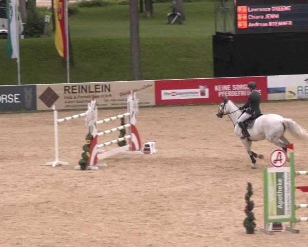 Reitturnier Stadl-Paura 2024