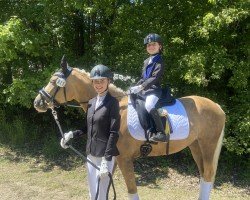 Dressurpferd Breaking Dawn 5 (Deutsches Reitpony, 2018, von Diamond Touch NRW)