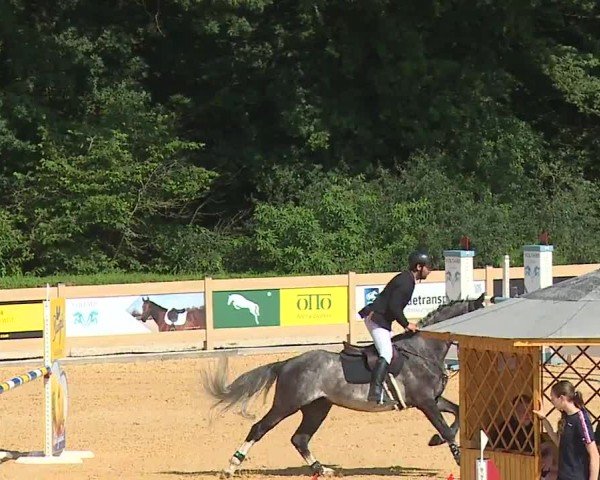 Reitturnier Tiefenhof/Opf. 2024