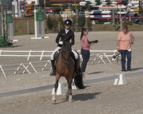 Reitturnier Holschdubrau 2024