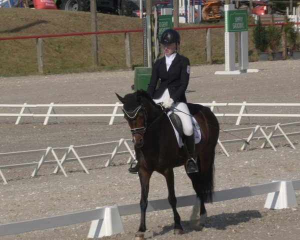 Reitturnier Holschdubrau 2024