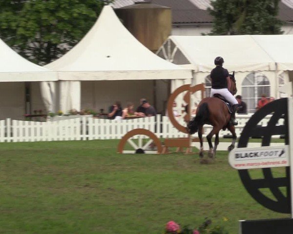 Reitturnier Nienburg 2024