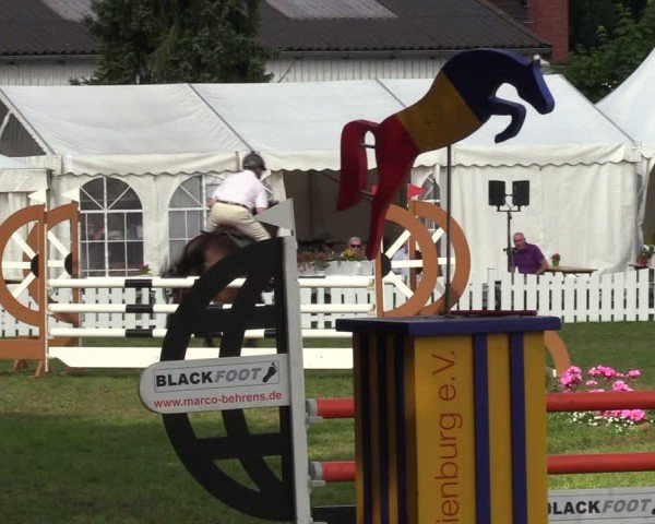 Reitturnier Nienburg 2024
