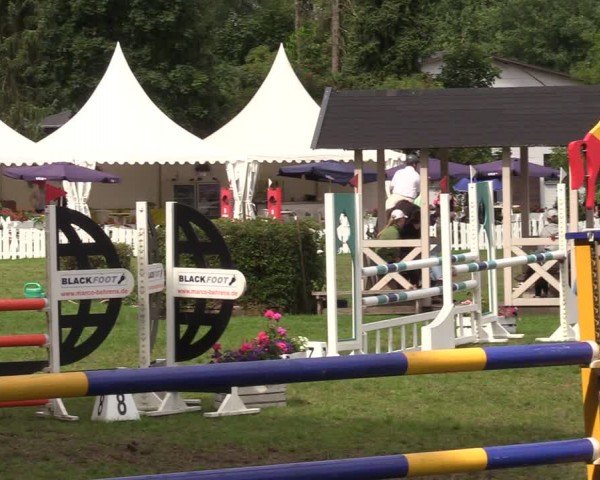 Reitturnier Nienburg 2024