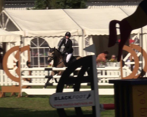 Reitturnier Nienburg 2024