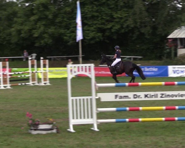 Reitturnier Nienburg 2024