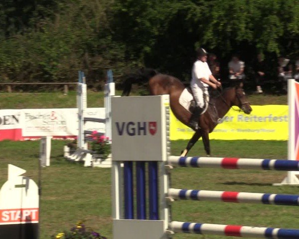 Reitturnier Nienburg 2024