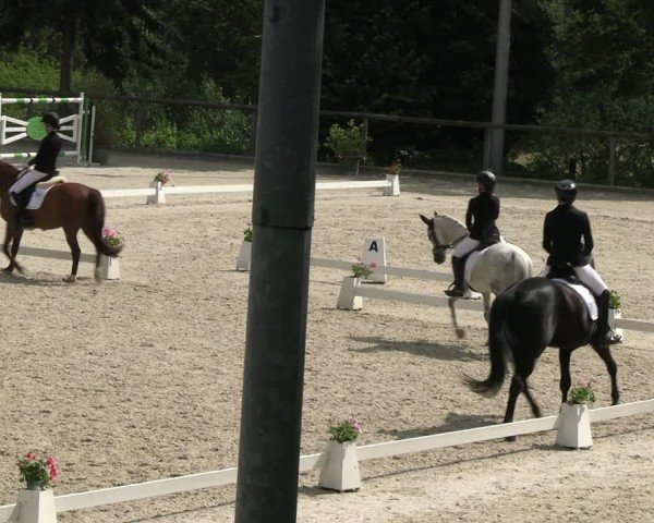 Reitturnier Erkrath - Uhlenhof 2024