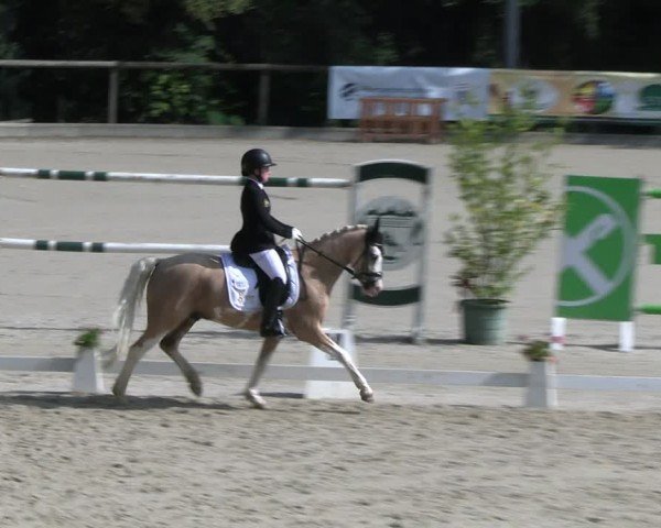 Reitturnier Erkrath - Uhlenhof 2024